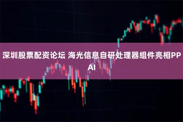 深圳股票配资论坛 海光信息自研处理器组件亮相PPAI